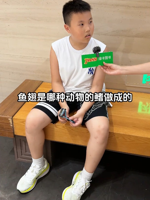 鱼翅可不是鱼的翅膀,那是什么呢?