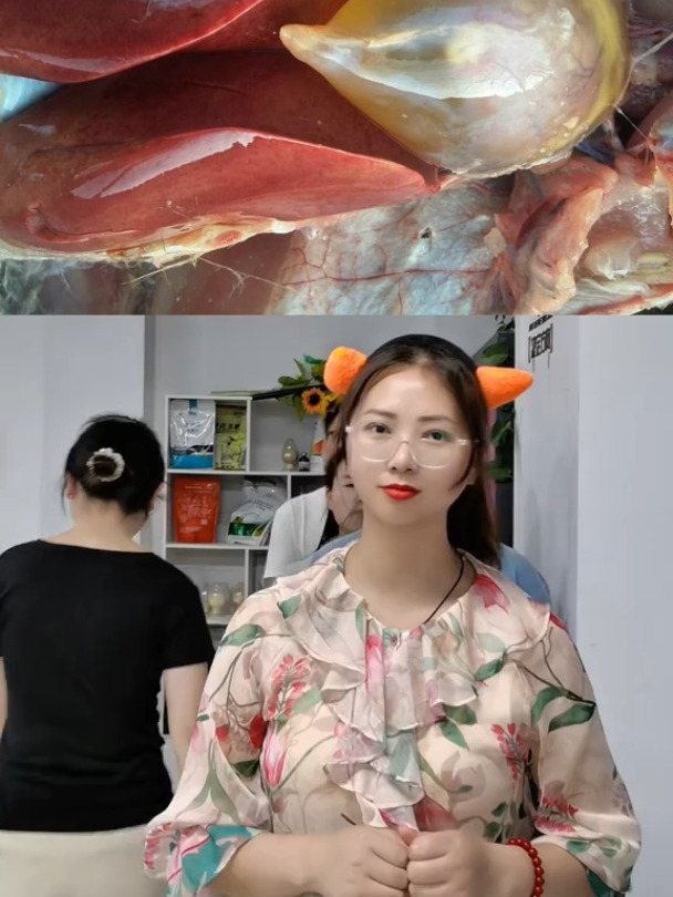 看图识鸡病土鸡养殖表妹聊养鸡表妹养殖技术