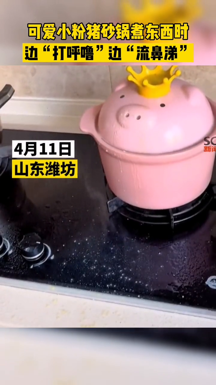 太形象!可爱小粉猪煮东西时,边“打呼噜”边“流鼻涕”