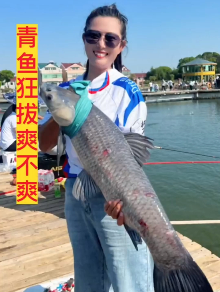 4000钓一场青鱼,是一种什么样的体验