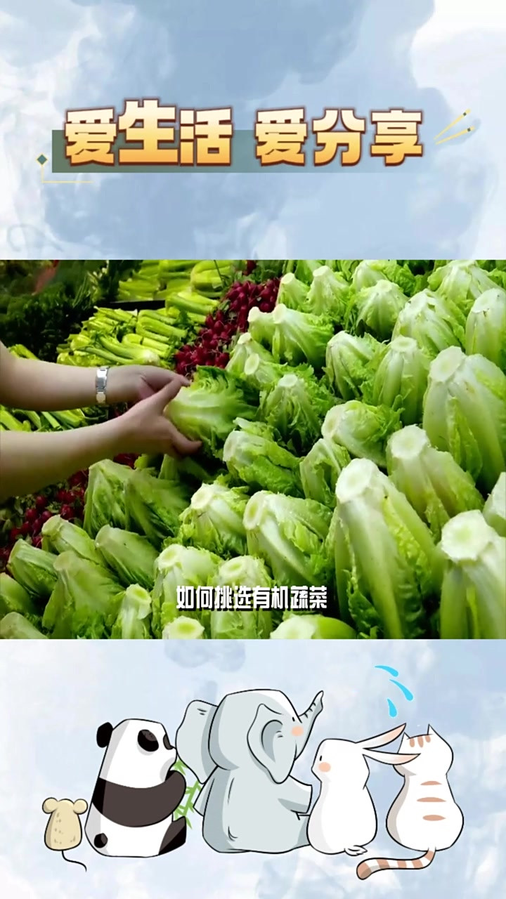 购买有机蔬菜,外观、种植方式、认证标志一个都不能少!