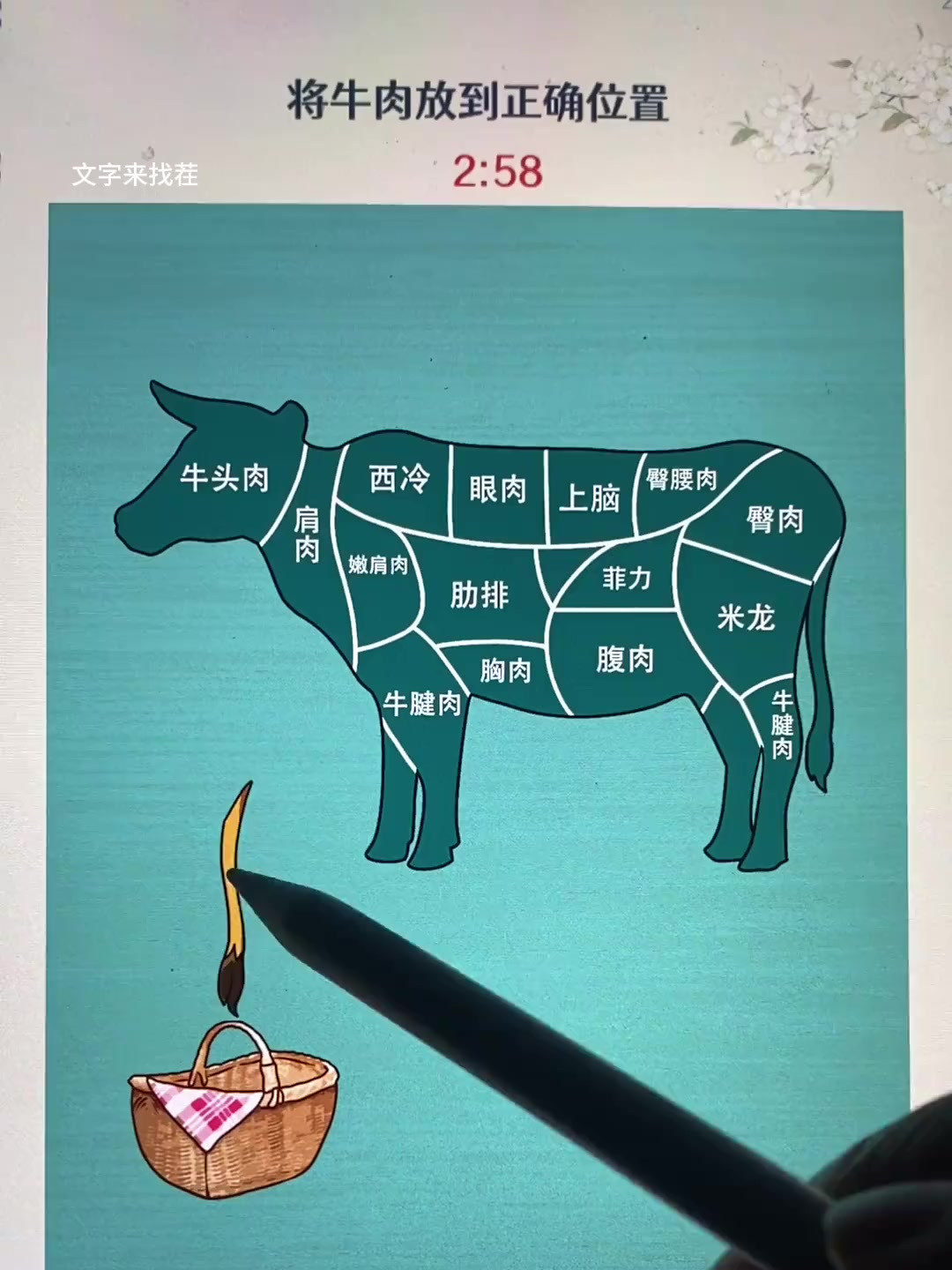 牛肉的分类你知道多少?