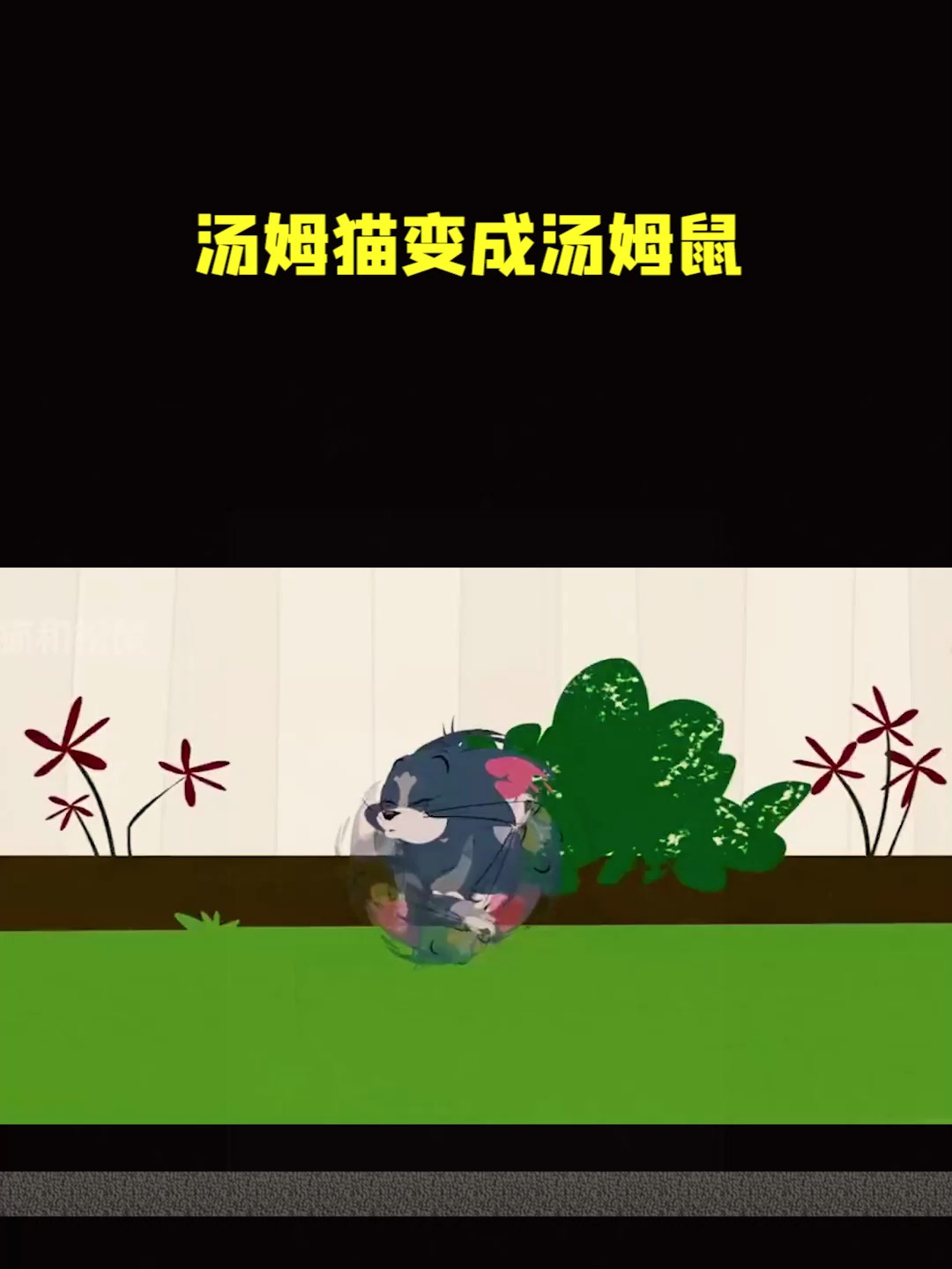 猫和老鼠动画片:汤姆猫变成汤姆鼠
