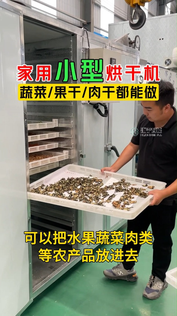 小型果蔬肉干烘干机 一次三五百斤的量