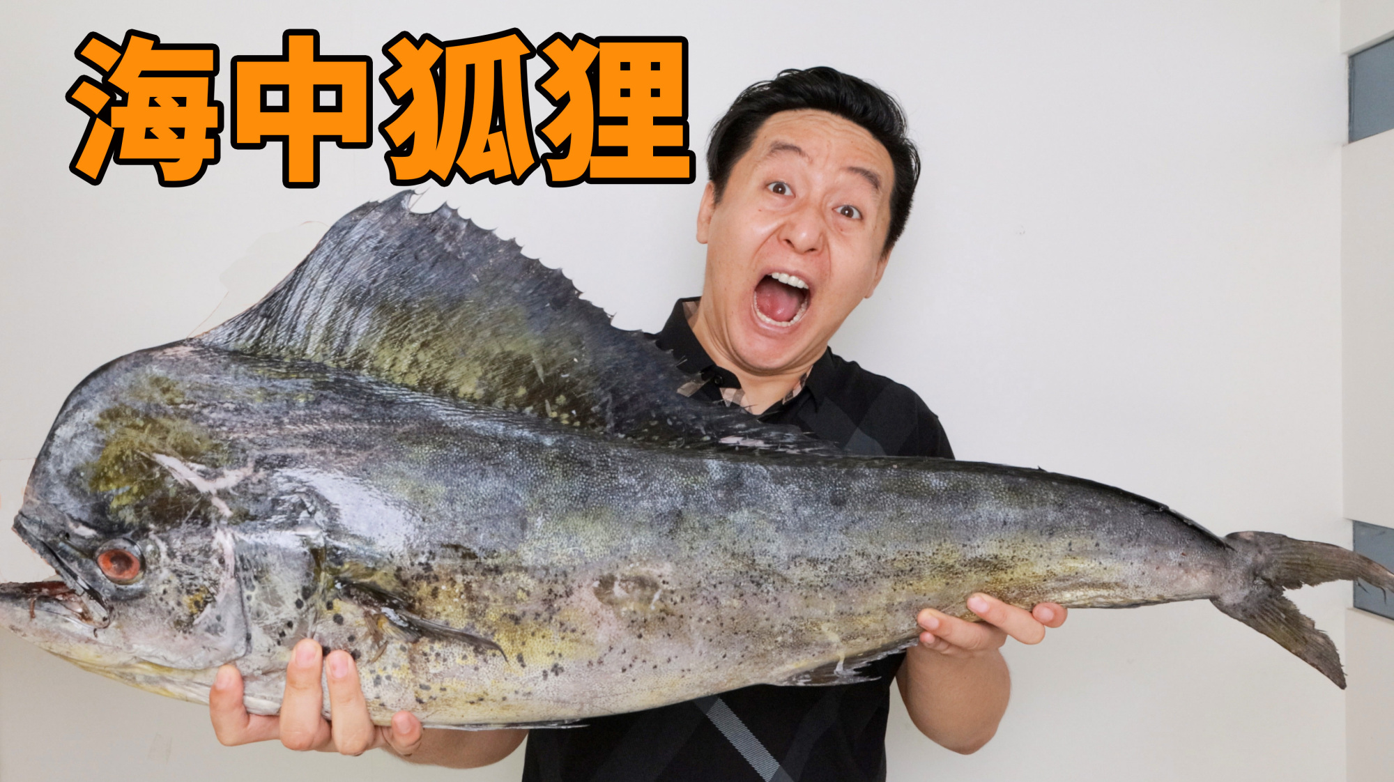 500元买了一只鬼头刀,传言中的海中狐狸,味道一言难尽