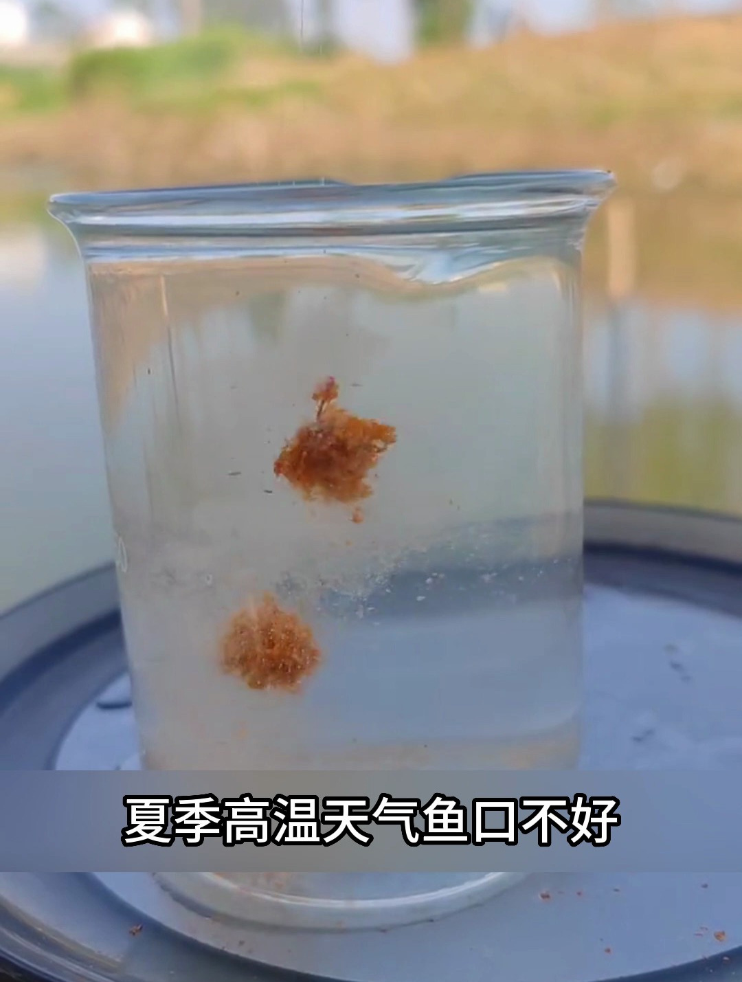 疯钓果香鱼饵,鲫鱼鲤鱼很爱吃的鱼饵,钓鱼人必备!