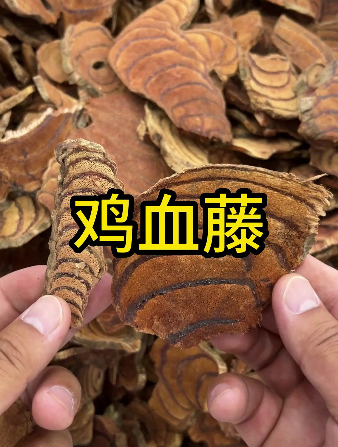 鸡血藤,挑的时候一定要选择环纹密集的