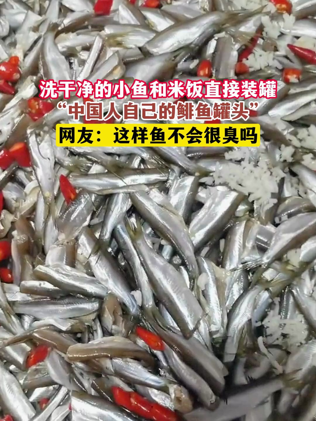 洗干净的小鱼和米饭直接装罐,“中国人自己的鲱鱼罐头”