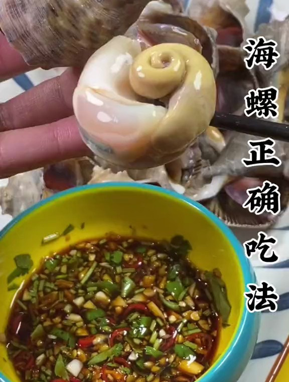 海螺正确吃法 海螺这样做
