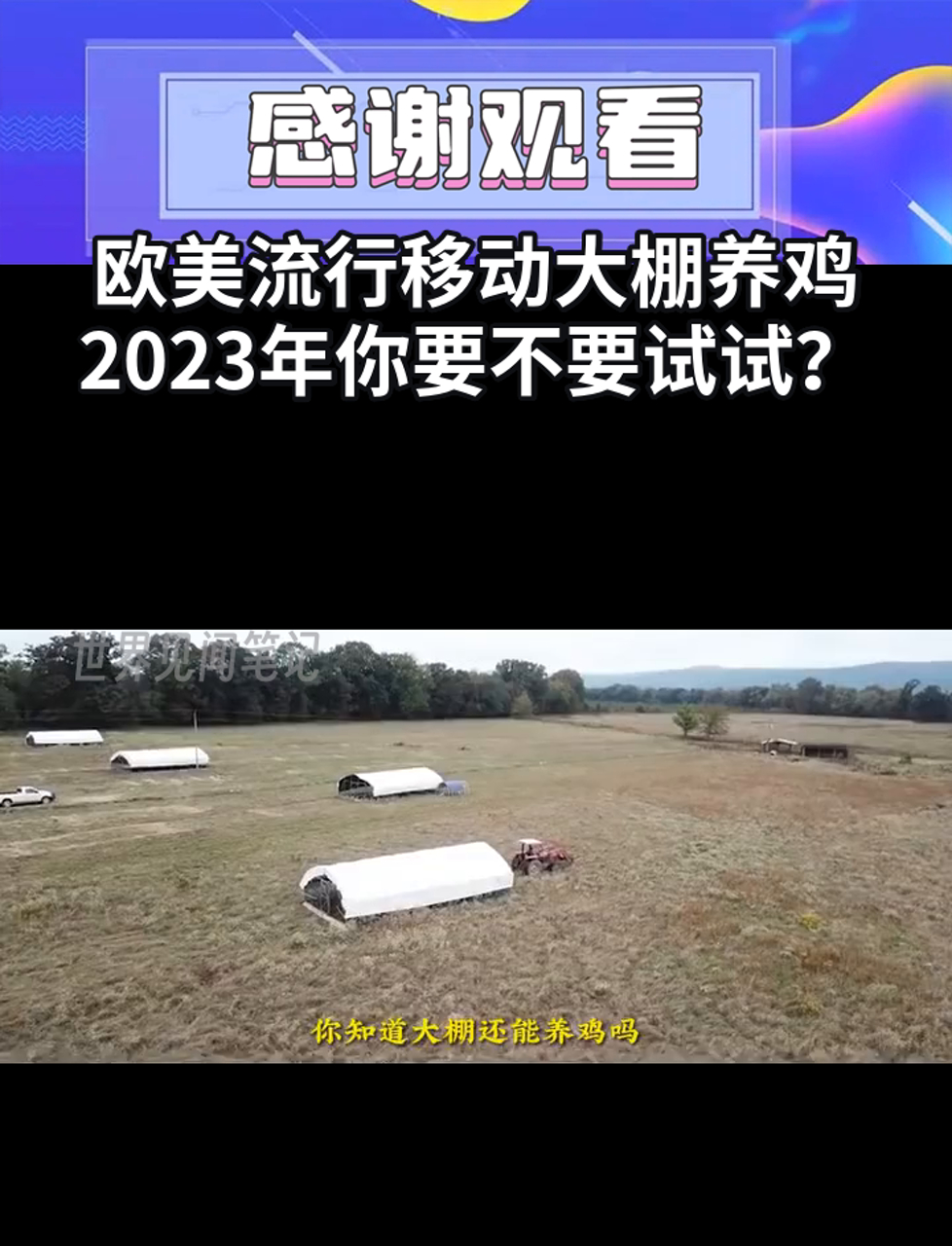 欧美流行移动大棚养鸡,2023年你要不要试试?