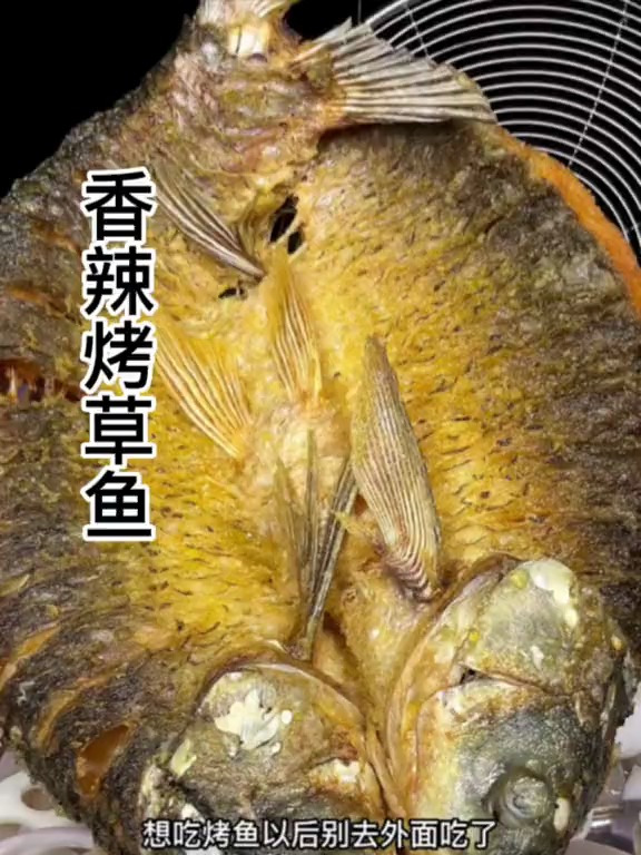 想吃烤鱼不用在外面吃了,在家也能做出好吃的香辣烤鱼