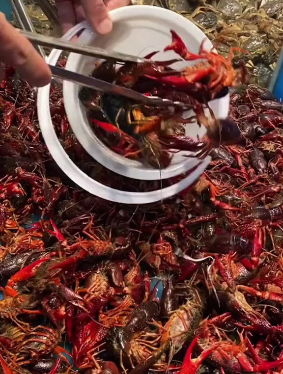 我又来盘海鲜自助了,小龙虾直接用桶装,给老板上一课