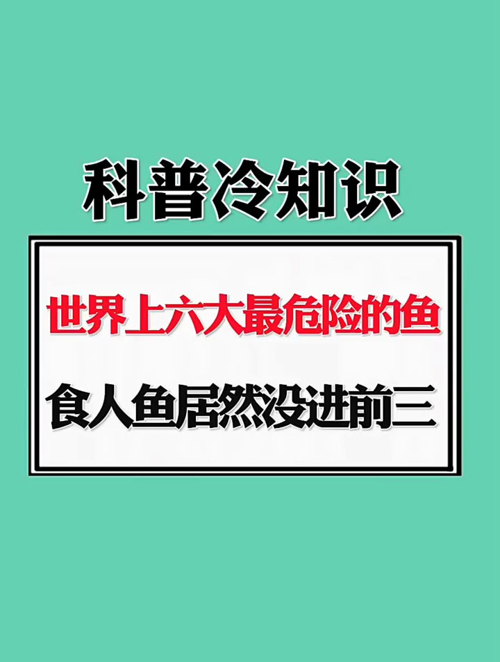 世界上六大最危险的鱼,食人鱼居然没进前三