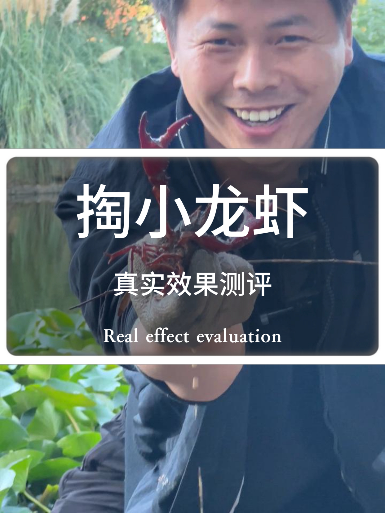 据说用啤酒可以快速掏小龙虾,实测看看效果怎么样?