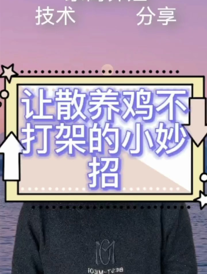散养鸡不打架的小妙招 防止公鸡打架的小妙招 防止鸡打架的方法
