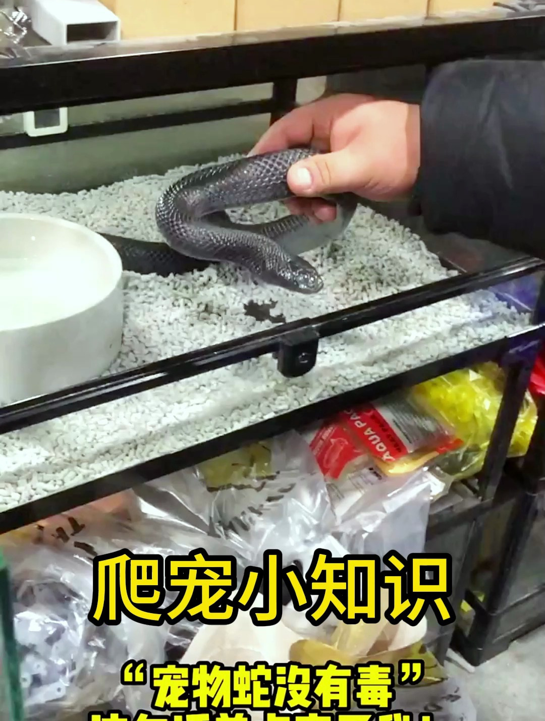 蛇究竟有没有毒?你真的知道吗!