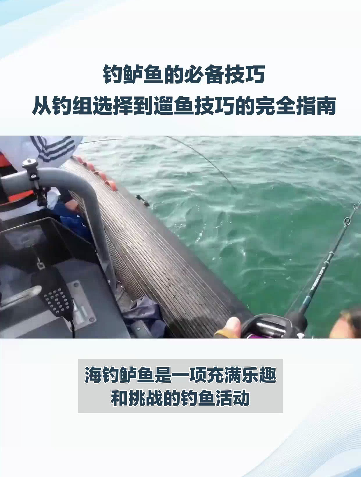 海钓鲈鱼:终极攻略与技巧,让你轻松成为钓鱼高手!