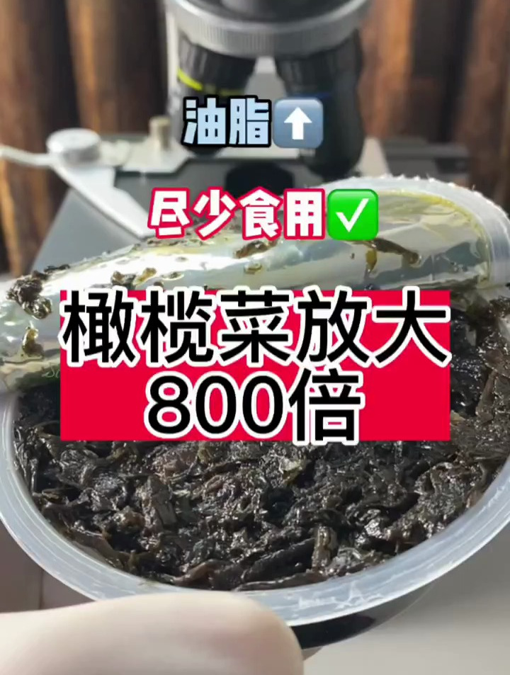 橄榄菜在显微镜下放大800倍
