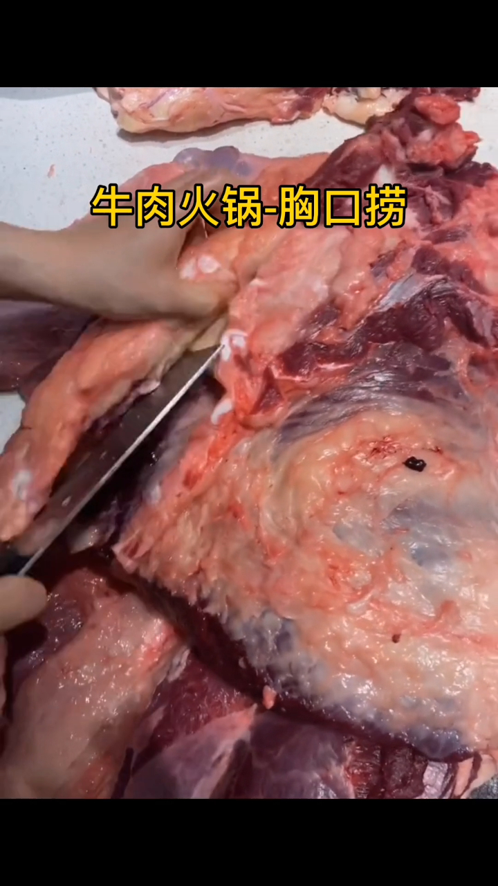 牛肉火锅-胸口捞
