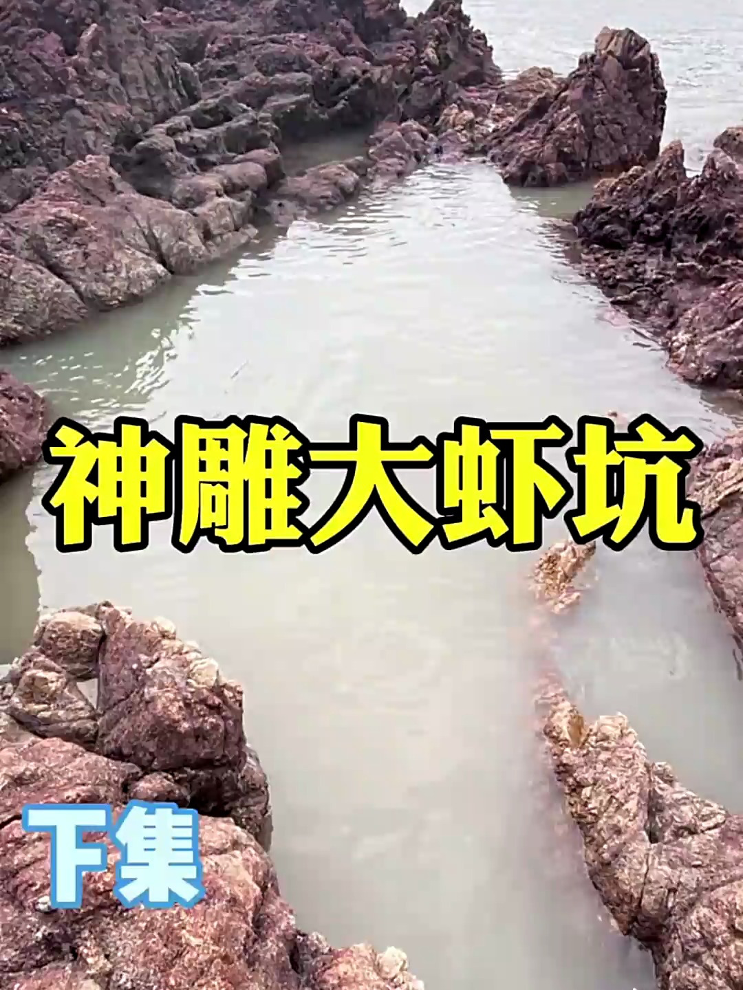 活饵打窝 惊现巨型魔鬼鱼重达十几斤 海鲈鱼泛滥成灾