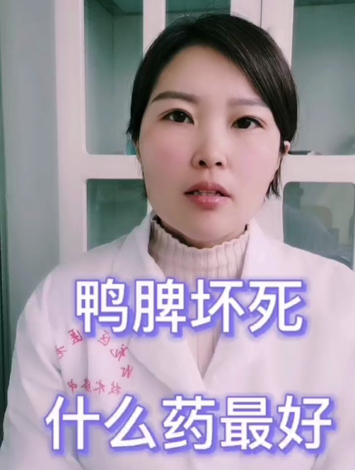 禽医静心谈鸭脾坏死什么药最好鸭子得了脾坏死怎么治