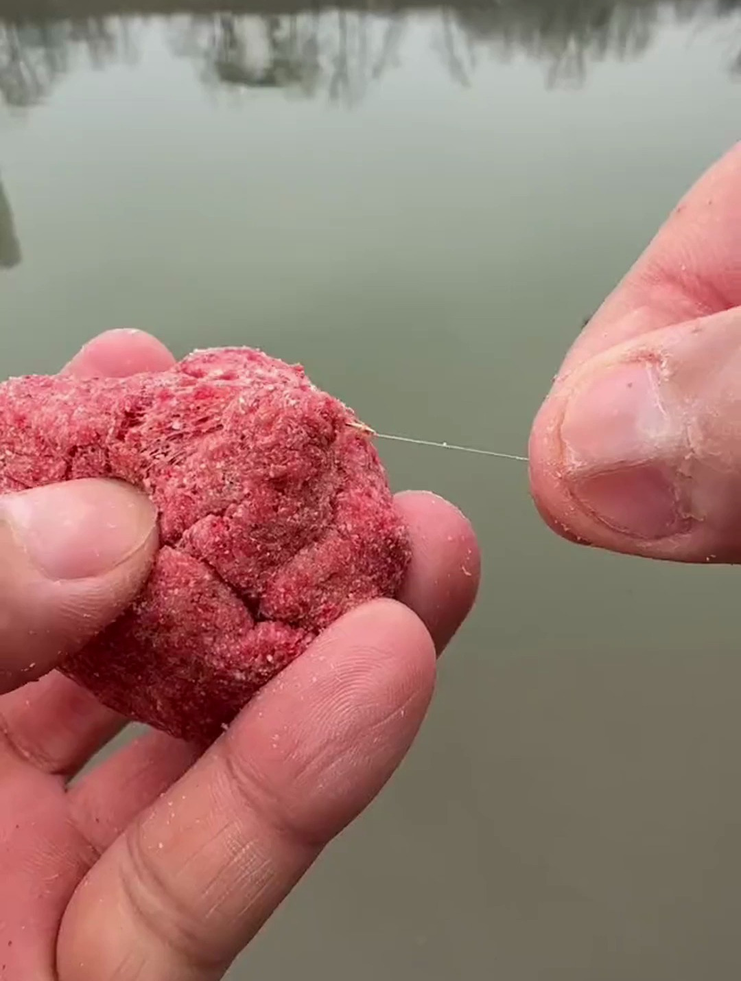 面筋饵专用溪流钓石斑鱼,但你真的会用吗?