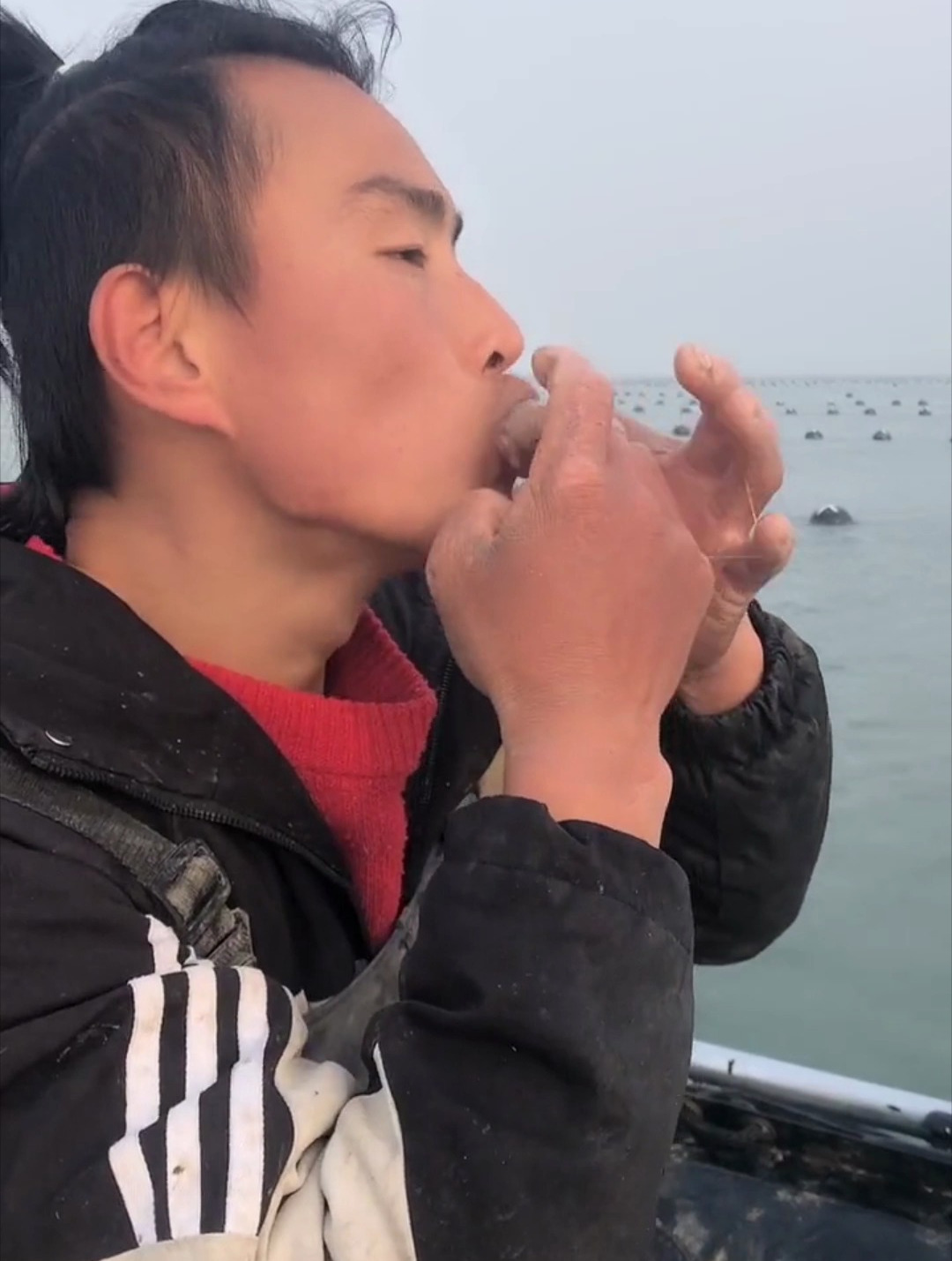 今天收网偶遇了一个可爱的比目鱼,然后