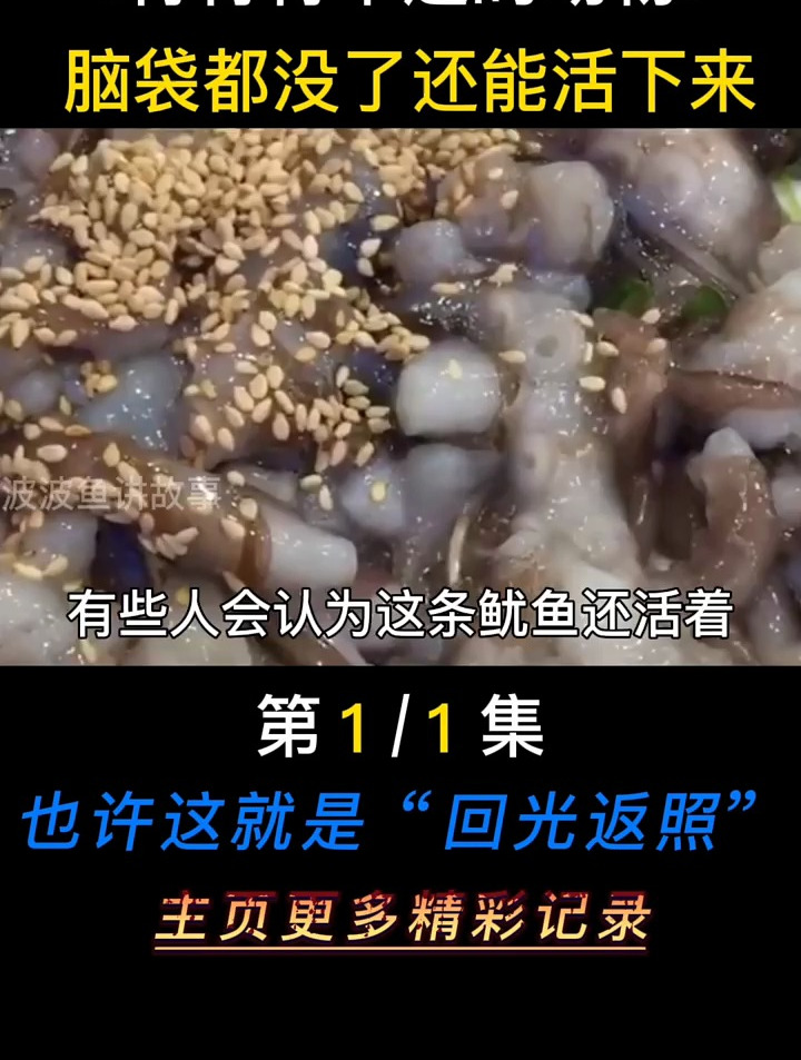 这鸡脑袋都没了还能走