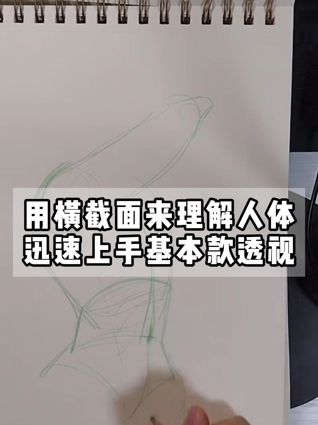 用横截面来理解人体,一看就会,迅速上手基本款透视