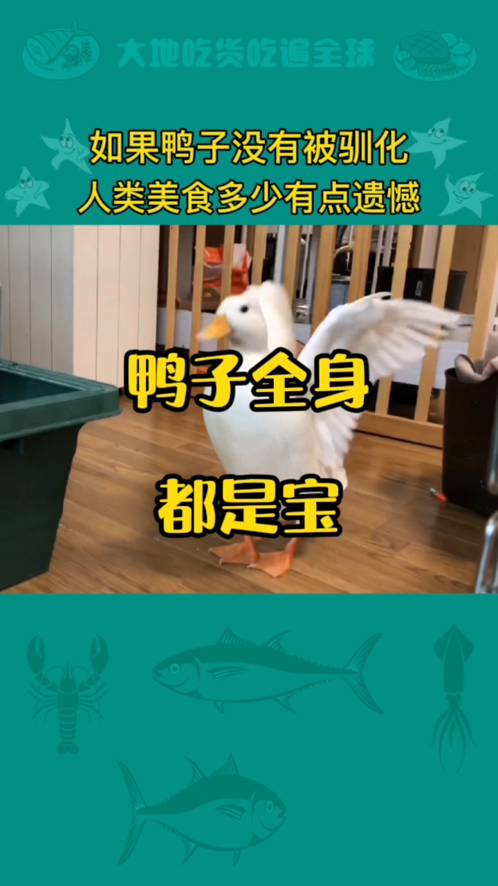 鸭子全身都是宝,每个部位都是一道美食,你吃过哪些?