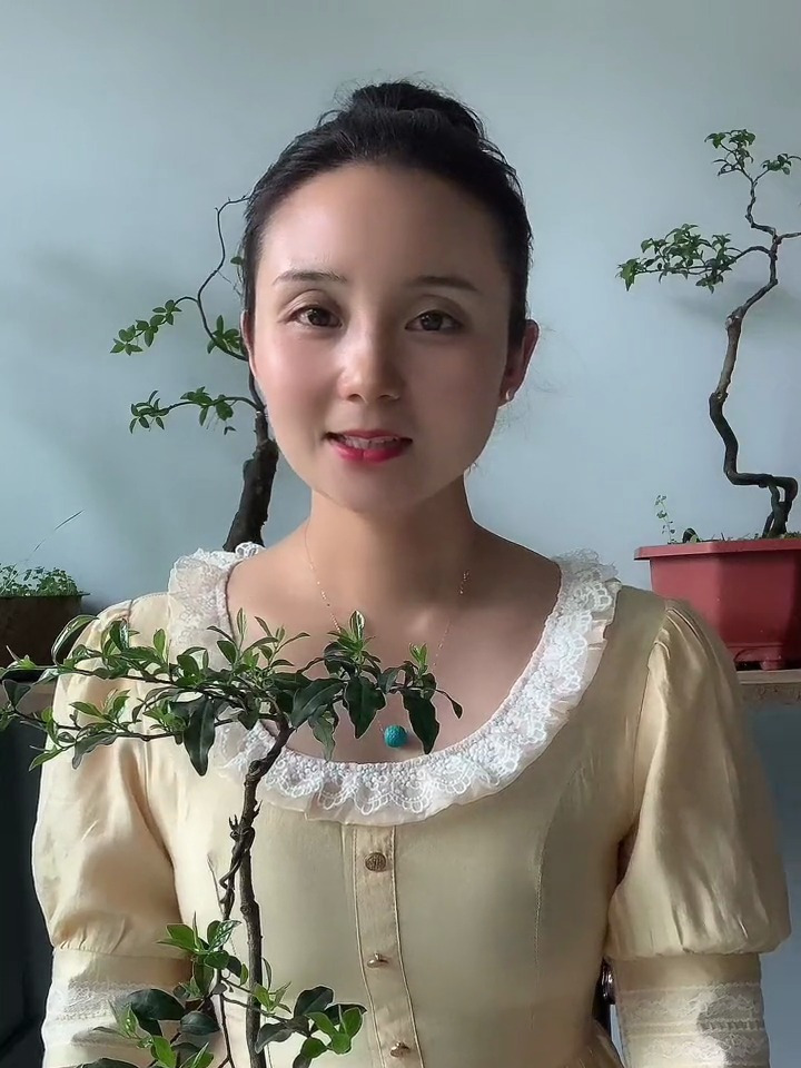 金弹子的果子可以吃吗?教你金弹子养护口诀,金弹子养护常识