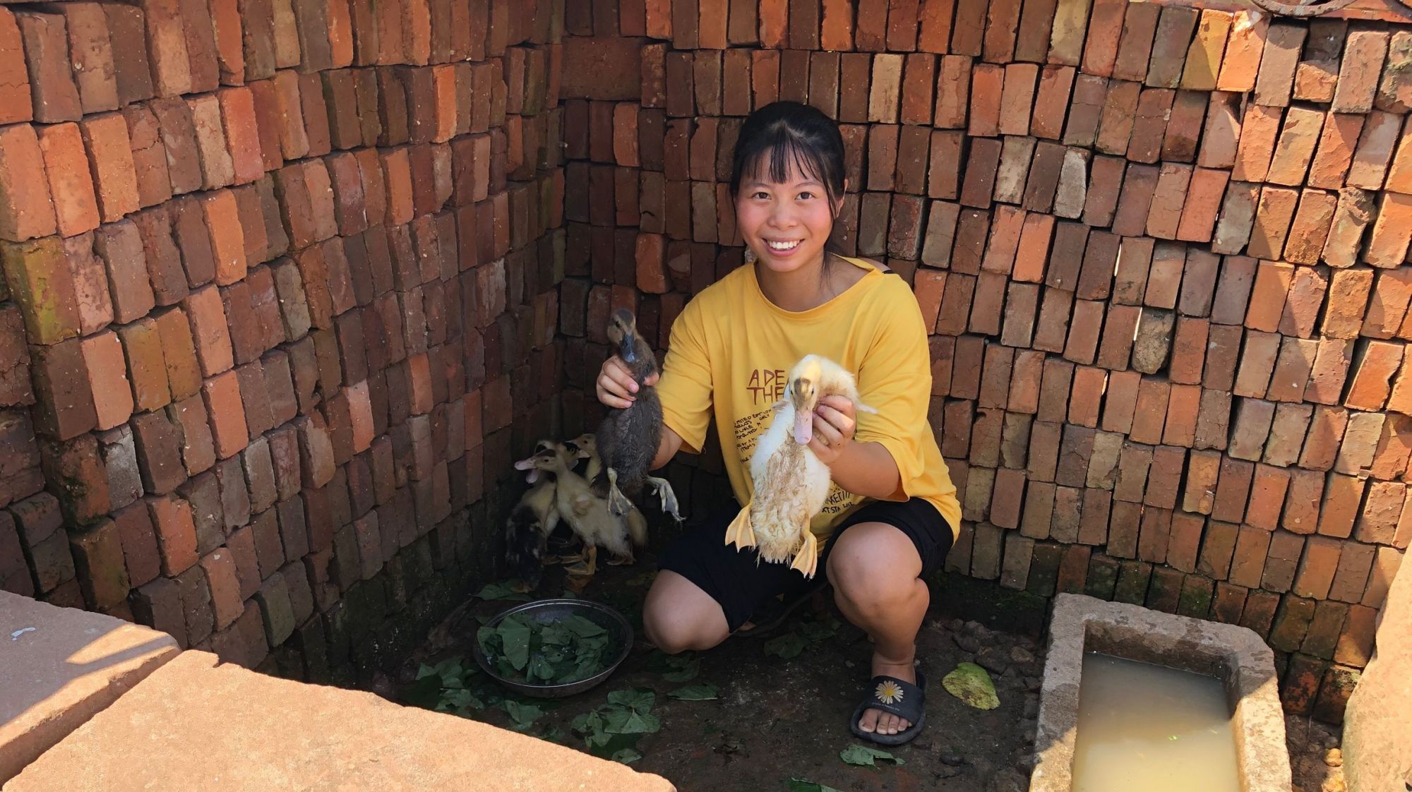 小秀20元买了7只鸭子,一共有2个品种的鸭子,真是太划算了