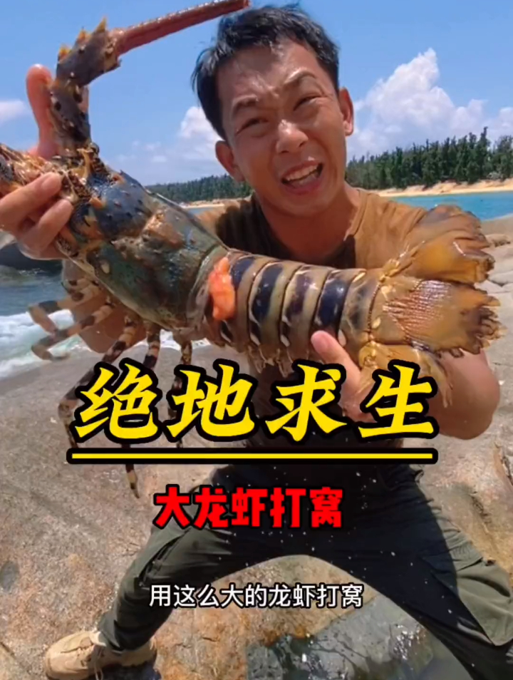 今天用大龙虾来打窝