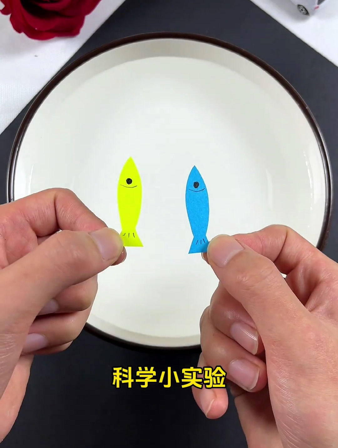 跟孩子一起做好玩的科学小实验