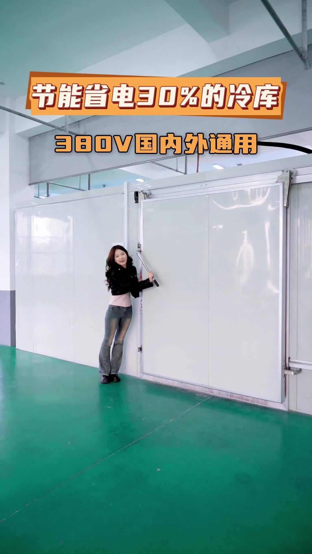 猪肉冷冻库,智能冷云管理系统,比普通冷库省电30%,全国发货