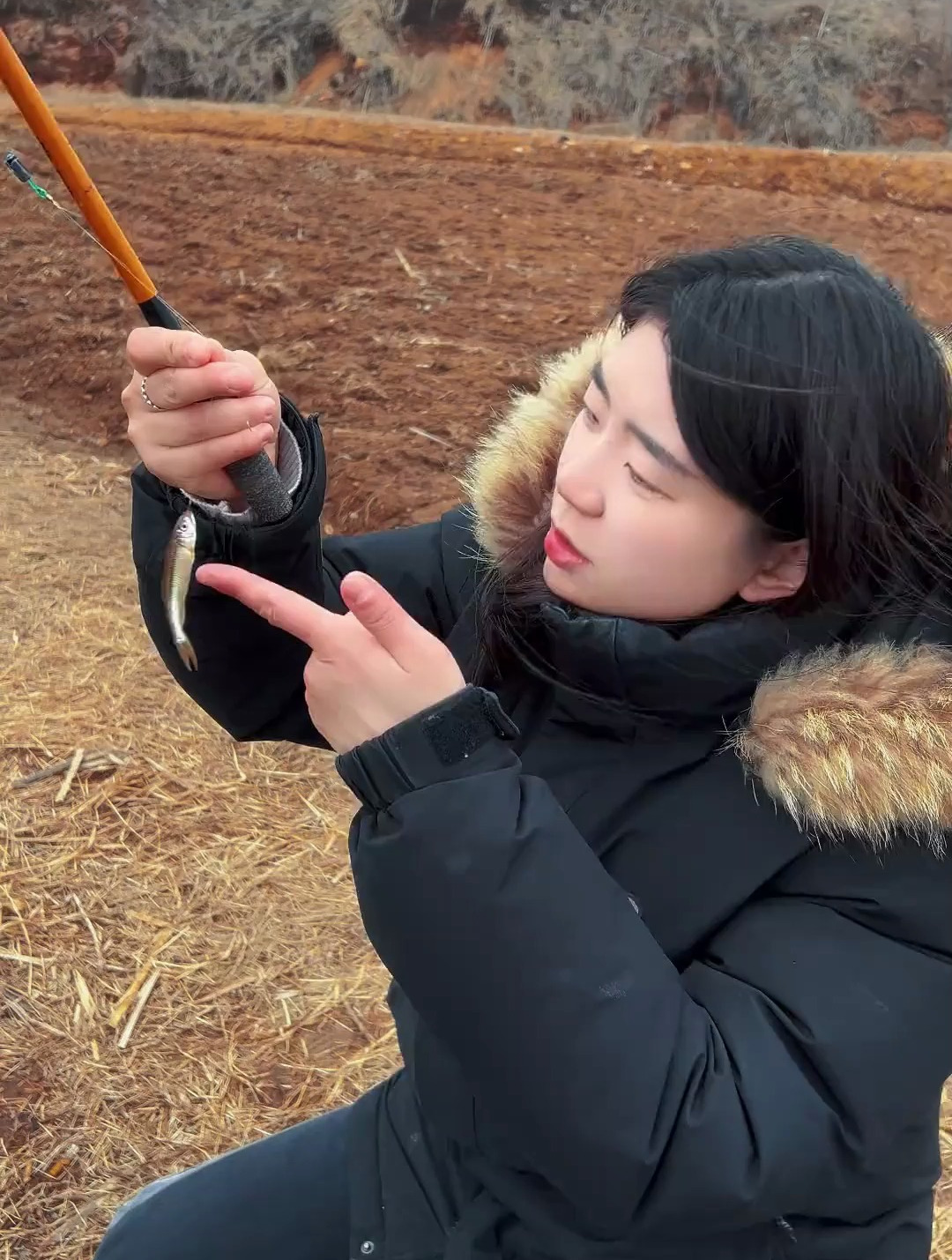 鱼:感谢神婆不杀之恩,被你念晕了,都不知道怎么游了