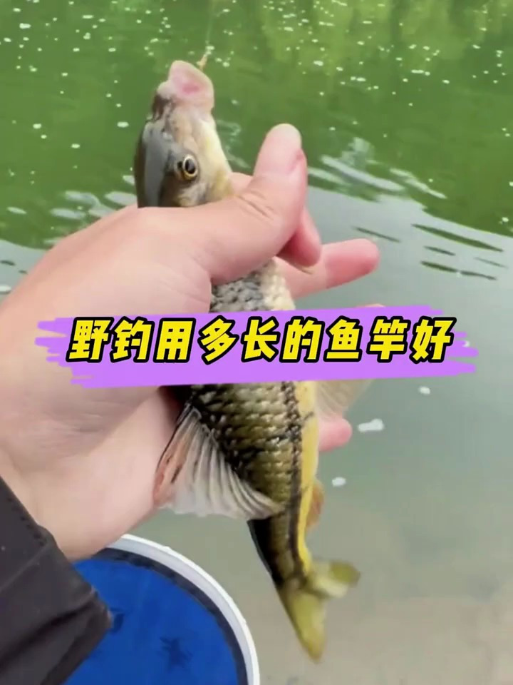 有钓友经常问野钓鱼竿要选多长的,今天我就仔细来讲解一下