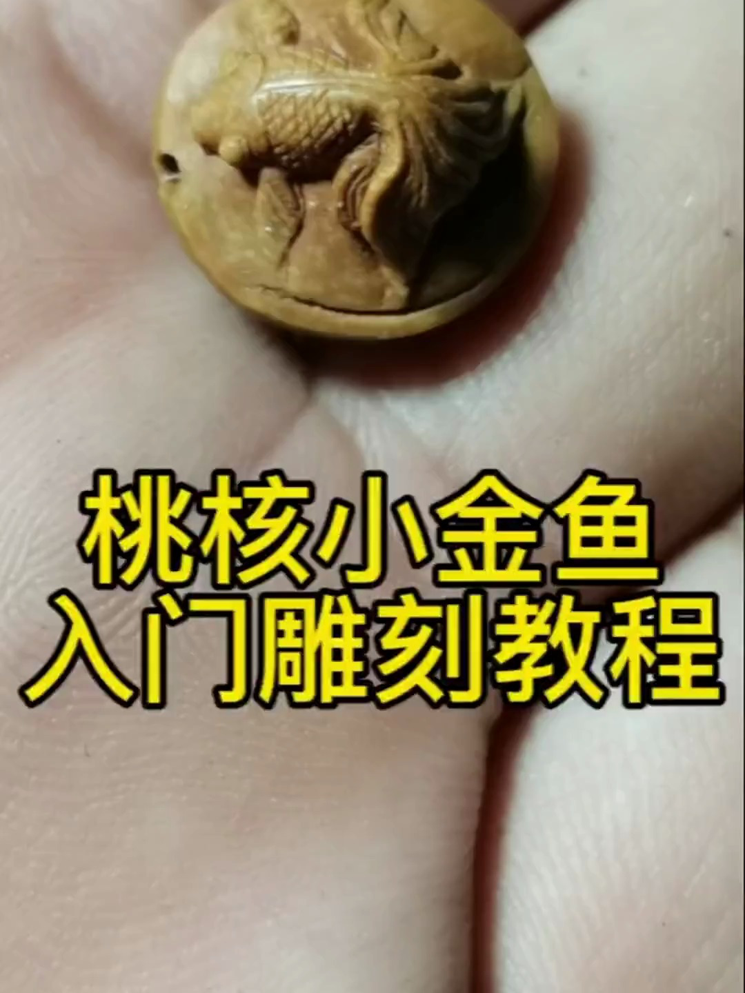桃核小金鱼入门雕刻教程分享
