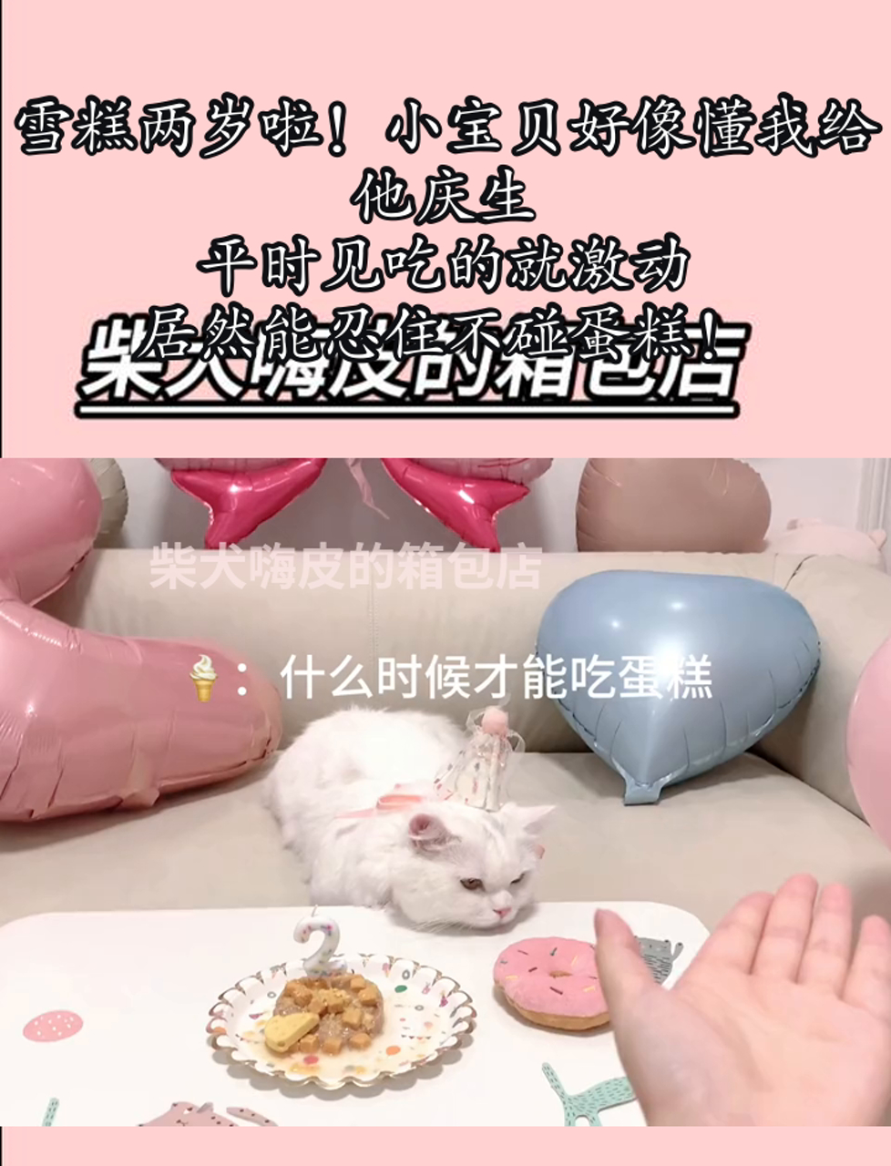 雪糕两岁啦!小宝贝好像懂我给他庆生,平时见吃的就激动,居然能忍住不碰蛋糕!