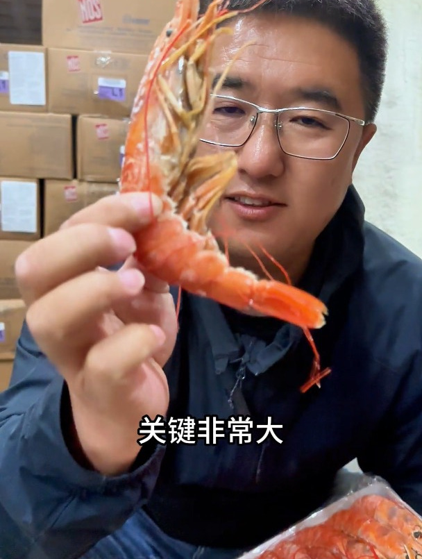 你们要的硬菜!南极圈船冻野生红虾,无争议时期捕捞
