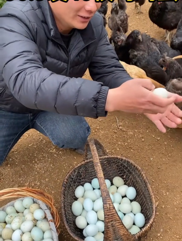 正宗绿壳土乌鸡蛋农家散养土鸡蛋