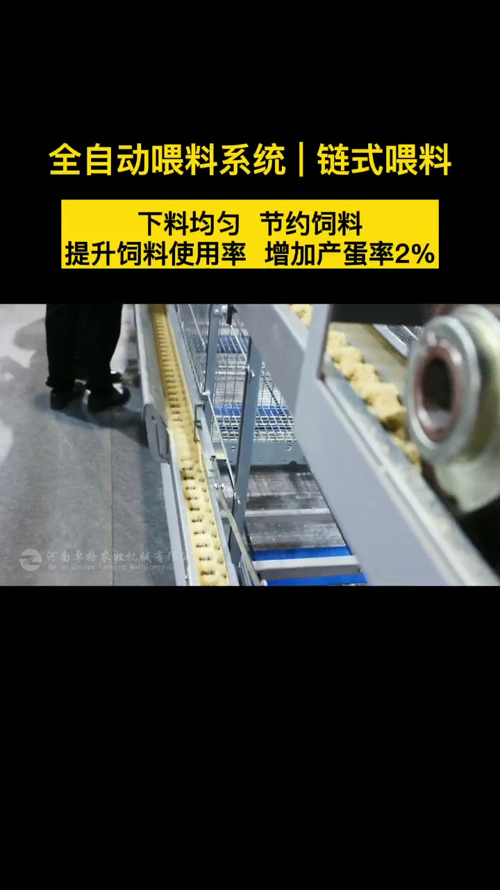 全自动式养鸡链式喂料设备