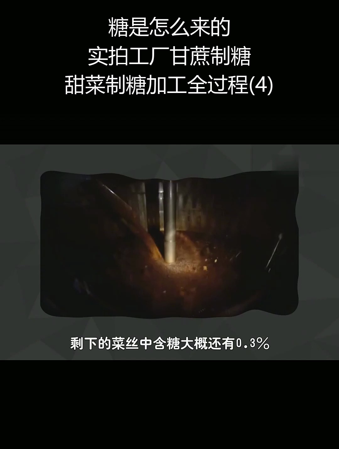 糖是怎么来的?实拍工厂甘蔗制糖,甜菜制糖加工全过程