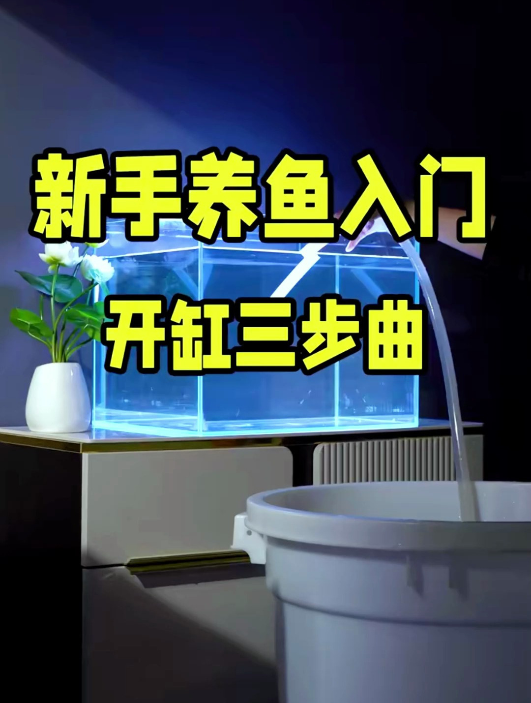新手养鱼入门开缸三步曲你知道吗?按照步骤来,注意细节也能开好缸