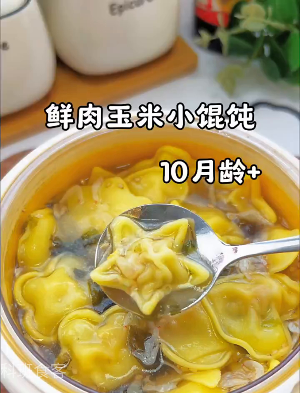 上期视频教的馄饨皮,10个月大宝宝也能吃小馄饨啦,汤鲜肉嫩一口一个,营养又美味!