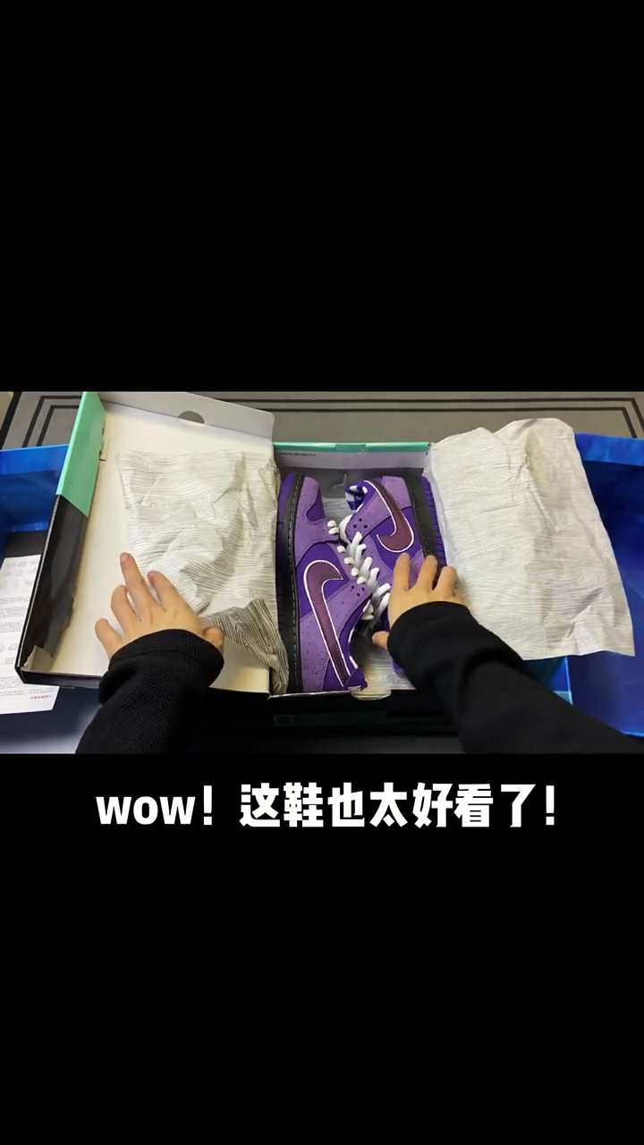 dunk紫龙虾开箱测评!