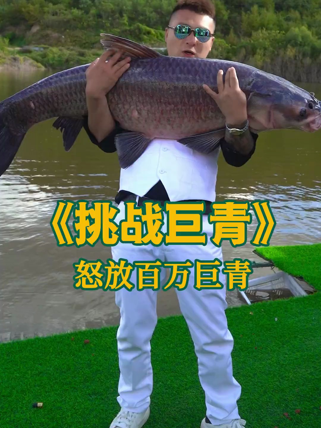 大青鱼已入水 这次够不够多 够不够大 够不够真实