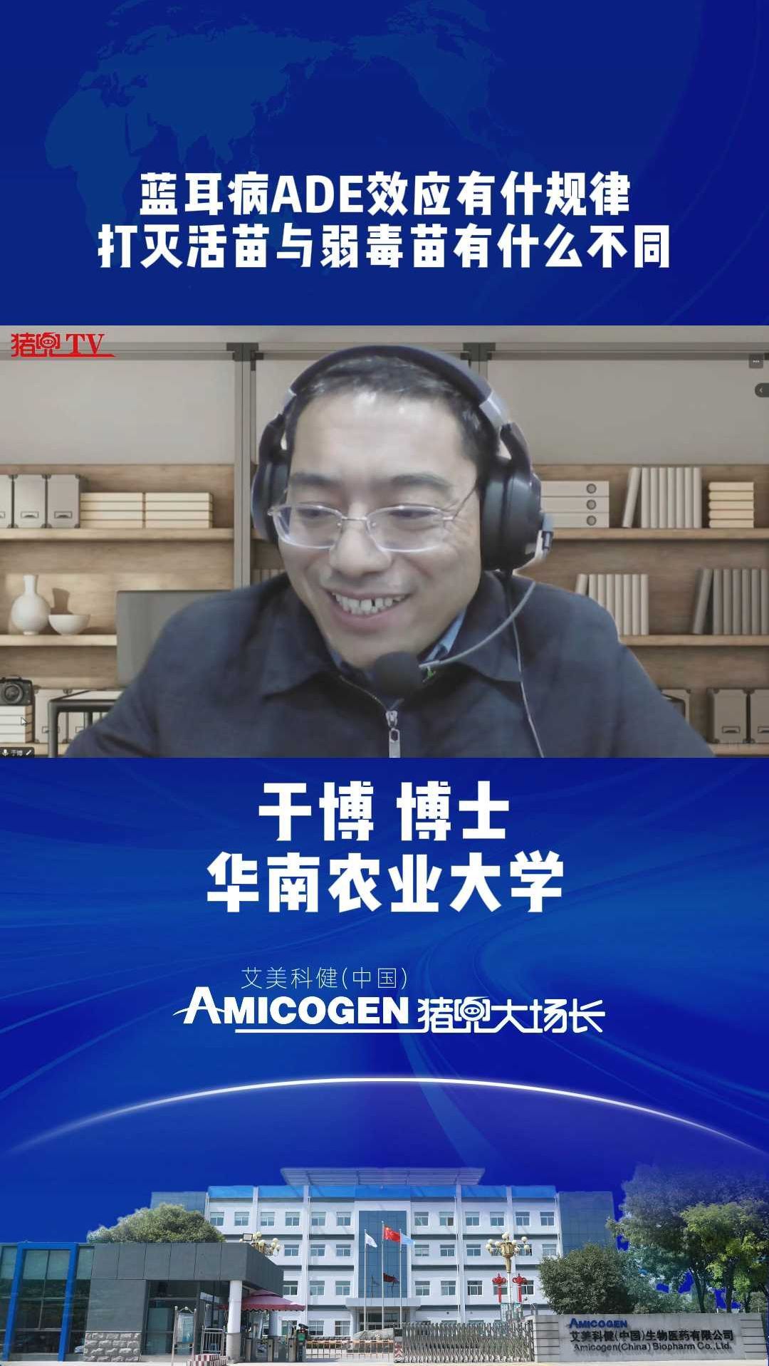 蓝耳病ADE效应有什规律?打灭活苗与弱毒苗有什么不同?