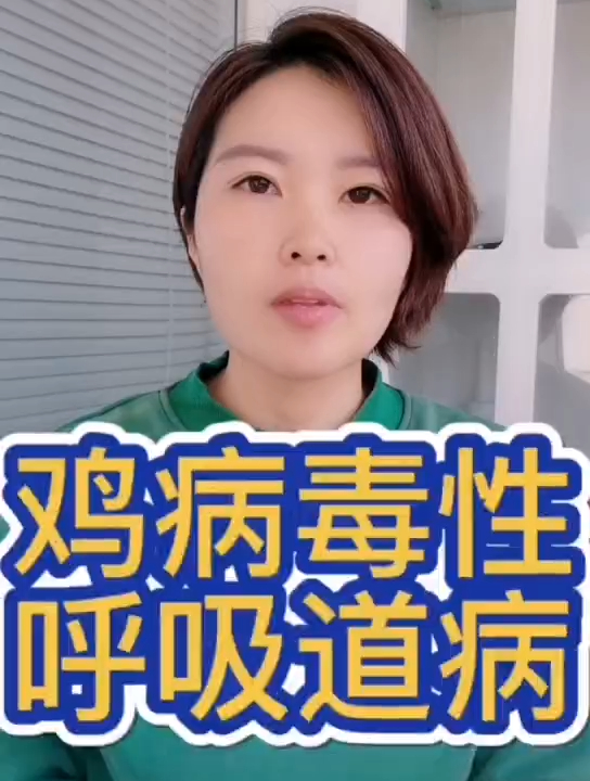 禽医静心谈鸡病毒性呼吸道病