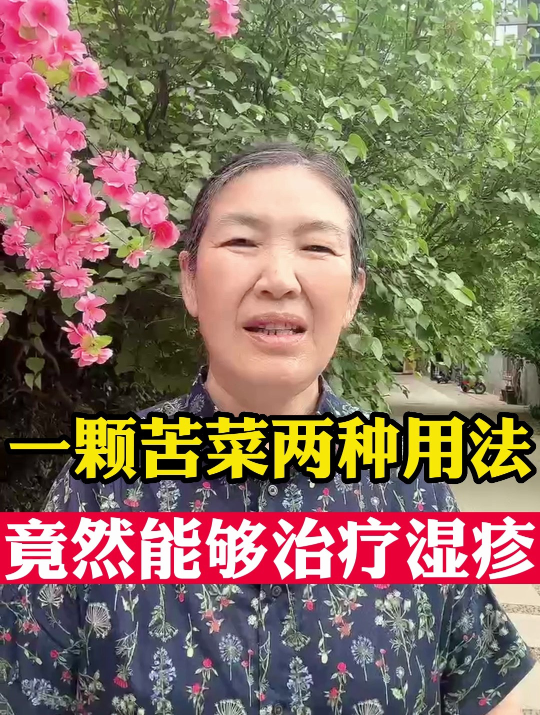 一颗苦菜两种用法,竟然能够治疗湿疹!